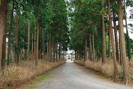 本堂に向かう参道